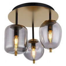 Потолочная люстра Lussole LSP-8730 LSP-8730 Потолочная люстра Lussole LSP-8730 LSP-8730