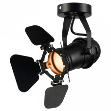 Спот Lussole Thornton LSP-9838 Спот Lussole Thornton LSP-9838