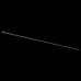 LS_256947 LS_256947