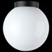 LS_373010 LS_373010