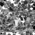 LS_721384 LS_721384