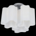 LS_802030 LS_802030