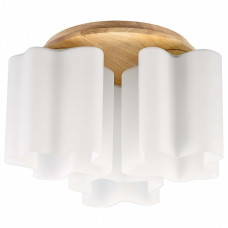 Накладной светильник Lightstar Nubi Legno 802035 Накладной светильник Lightstar Nubi Legno 802035