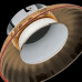 LS_809013 LS_809013
