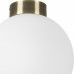 LS_812021 LS_812021