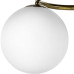 LS_815091 LS_815091