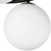 LS_815097 LS_815097