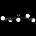 LS_815557 LS_815557