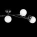 LS_815557 LS_815557