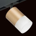 LS_PRO349081 LS_PRO349081