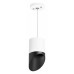 LS_RP348687 LS_RP348687