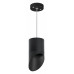 LS_RP348787 LS_RP348787