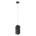LS_RP387 LS_RP387