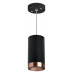 LS_RP437430 LS_RP437430