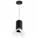 LS_RP437436 LS_RP437436