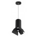 LS_RP437437 LS_RP437437