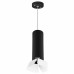 LS_RP497436 LS_RP497436