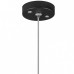 LS_RP497436 LS_RP497436