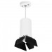 LS_RP6486487 LS_RP6486487