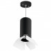 LS_RP6487486 LS_RP6487486
