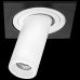 LS_i517264 LS_i517264