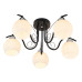 Потолочная люстра MyFar Daniella MR1570-5C Потолочная люстра MyFar Daniella MR1570-5C