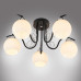 Потолочная люстра MyFar Daniella MR1570-5C Потолочная люстра MyFar Daniella MR1570-5C