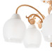 Люстра на штанге MyFar Nika MR1671-5C Люстра на штанге MyFar Nika MR1671-5C