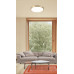 Накладной светильник Milosh Tendence 888 0888CL-50GD Накладной светильник Milosh Tendence 888 0888CL-50GD