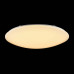 MY_FR6999-CL-75-W MY_FR6999-CL-75-W