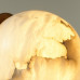 OD_6684_5CL OD_6684_5CL