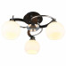 Потолочная люстра Omnilux Caldiero OML-25407-03 Потолочная люстра Omnilux Caldiero OML-25407-03