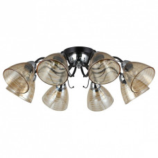 Потолочная люстра Rivoli Friederike Б0050318 Потолочная люстра Rivoli Friederike Б0050318