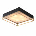 Накладной светильник ST-Luce Chodo SL1127.422.05 Накладной светильник ST-Luce Chodo SL1127.422.05