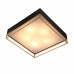 Накладной светильник ST-Luce Chodo SL1127.422.05 Накладной светильник ST-Luce Chodo SL1127.422.05