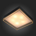Накладной светильник ST-Luce Chodo SL1127.422.05 Накладной светильник ST-Luce Chodo SL1127.422.05