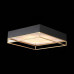 Накладной светильник ST-Luce Chodo SL1127.422.05 Накладной светильник ST-Luce Chodo SL1127.422.05
