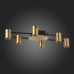 Потолочная люстра ST-Luce Veroli SL1207.402.06 Потолочная люстра ST-Luce Veroli SL1207.402.06