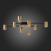 Потолочная люстра ST-Luce Veroli SL1207.402.08 Потолочная люстра ST-Luce Veroli SL1207.402.08