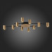 Потолочная люстра ST-Luce Veroli SL1207.402.10 Потолочная люстра ST-Luce Veroli SL1207.402.10