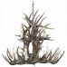 Подвесная люстра ST-Luce Corna SL154.703.12 Подвесная люстра ST-Luce Corna SL154.703.12