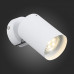 Спот ST-Luce Fanale SL597.501.01 Спот ST-Luce Fanale SL597.501.01