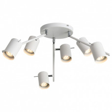 Потолочная люстра ST-Luce Fanale SL597.502.06 Потолочная люстра ST-Luce Fanale SL597.502.06