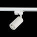 Светильник на штанге ST-Luce Solt ST300.506.01 Светильник на штанге ST-Luce Solt ST300.506.01