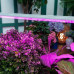 Светильник для растений Uniel ULI-P21 UL-00008921 Светильник для растений Uniel ULI-P21 UL-00008921