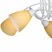 Потолочная люстра Vitaluce V3955 V3955-0/5PL Потолочная люстра Vitaluce V3955 V3955-0/5PL