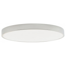 Накладной светильник Zortes Tortty ZRS.02565.96 Накладной светильник Zortes Tortty ZRS.02565.96