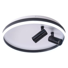 Накладной светильник Zortes Raizy ZRS.1888.01 Накладной светильник Zortes Raizy ZRS.1888.01