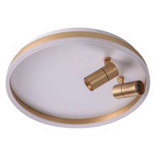 Накладной светильник Zortes Raizy ZRS.1888.02 Накладной светильник Zortes Raizy ZRS.1888.02