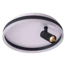 Накладной светильник Zortes Raizy ZRS.1888.03 Накладной светильник Zortes Raizy ZRS.1888.03